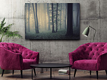 Obraz na stenu Ranná hmla v lese, les forest stromy trees